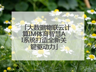 大数据物联云计算IM体育智慧AI系统打造全新关键驱动力