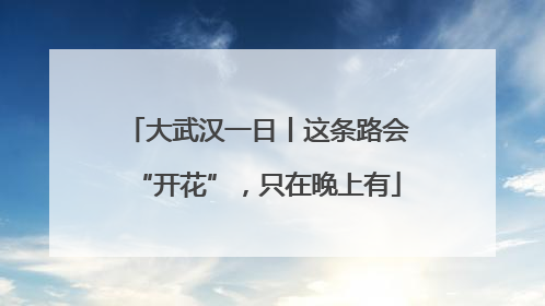 大武汉一日丨这条路会“开花”，只在晚上有