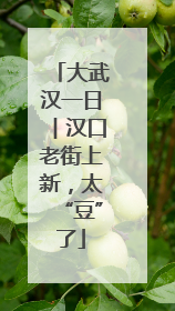 大武汉一日︱汉口老街上新，太“豆”了