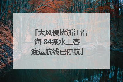 大风侵扰浙江沿海 84条水上客渡运航线已停航