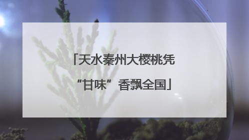 天水秦州大樱桃凭“甘味”香飘全国