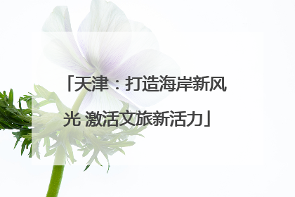 天津：打造海岸新风光 激活文旅新活力