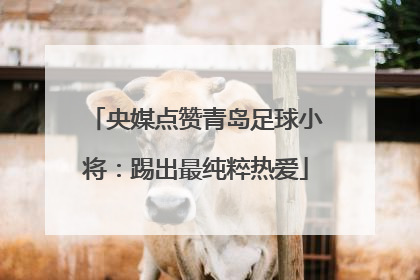 央媒点赞青岛足球小将：踢出最纯粹热爱