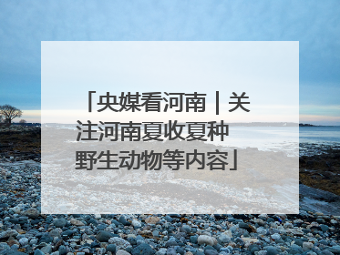 央媒看河南｜关注河南夏收夏种 野生动物等内容