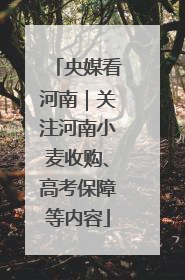 央媒看河南｜关注河南小麦收购、高考保障等内容