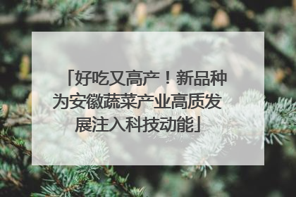 好吃又高产！新品种为安徽蔬菜产业高质发展注入科技动能