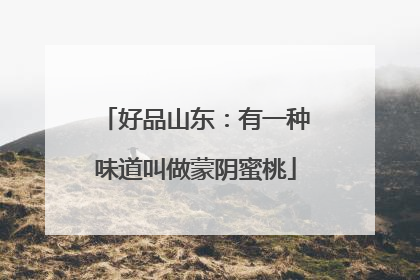 好品山东：有一种味道叫做蒙阴蜜桃