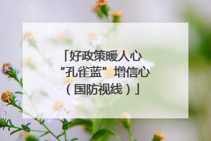 好政策暖人心 “孔雀蓝”增信心（国防视线）