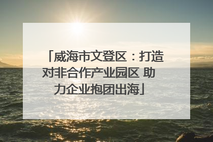 威海市文登区：打造对非合作产业园区 助力企业抱团出海