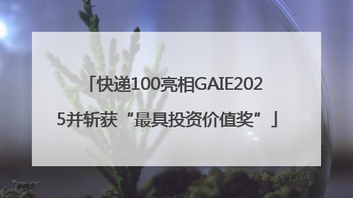 快递100亮相GAIE2025并斩获“最具投资价值奖”