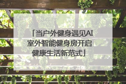 当户外健身遇见AI 室外智能健身房开启健康生活新范式