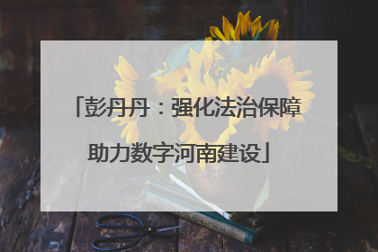 彭丹丹：强化法治保障 助力数字河南建设