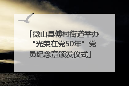 微山县傅村街道举办“光荣在党50年”党员纪念章颁发仪式