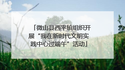 微山县西平镇组织开展“我在新时代文明实践中心过端午”活动