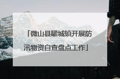 微山县驩城镇开展防汛物资自查盘点工作