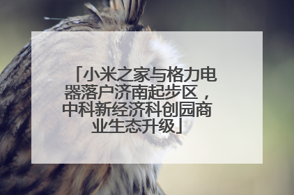 小米之家与格力电器落户济南起步区，中科新经济科创园商业生态升级