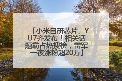 小米自研芯片、YU7齐发布！相关话题霸占热搜榜，雷军一夜涨粉超20万