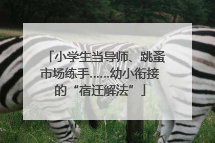 小学生当导师、跳蚤市场练手……幼小衔接的“宿迁解法”