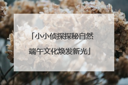 小小侦探探秘自然 端午文化焕发新光