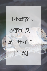 小满节气农事忙 又是一年好“丰”光