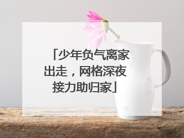 少年负气离家出走，网格深夜接力助归家