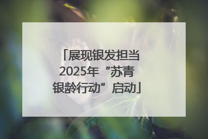 展现银发担当 2025年“苏青银龄行动”启动
