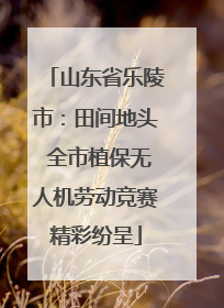 山东省乐陵市：田间地头 全市植保无人机劳动竞赛精彩纷呈