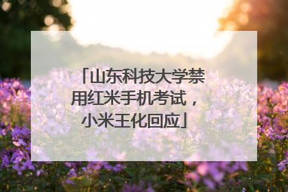 山东科技大学禁用红米手机考试，小米王化回应
