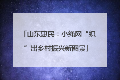 山东惠民：小绳网“织”出乡村振兴新图景