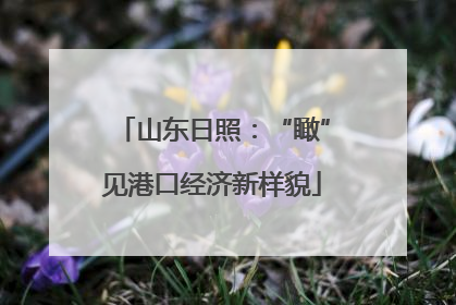 山东日照：“瞰”见港口经济新样貌