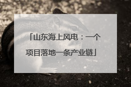 山东海上风电：一个项目落地一条产业链