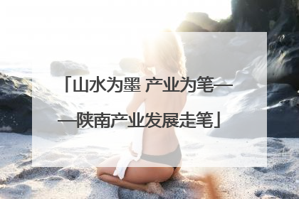 山水为墨 产业为笔——陕南产业发展走笔