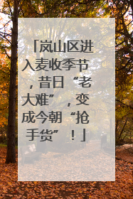 岚山区进入麦收季节，昔日“老大难”，变成今朝“抢手货”！