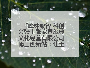 峰林聚智 科创兴张丨张家界旅典文化经营有限公司博士创新站：让土家织锦“智”造出非遗新传奇