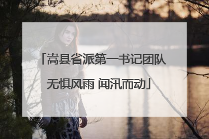 嵩县省派第一书记团队 无惧风雨 闻汛而动