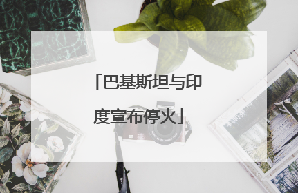 巴基斯坦与印度宣布停火
