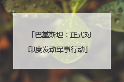 巴基斯坦：正式对印度发动军事行动