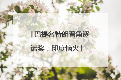 巴提名特朗普角逐诺奖，印度恼火
