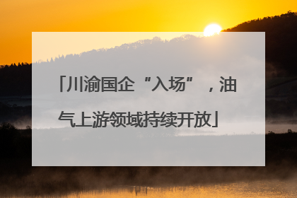 川渝国企“入场”，油气上游领域持续开放