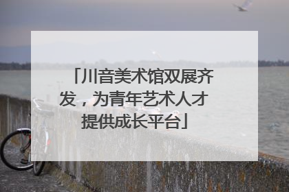 川音美术馆双展齐发，为青年艺术人才提供成长平台
