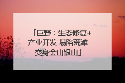巨野：生态修复+产业开发 塌陷荒滩变身金山银山