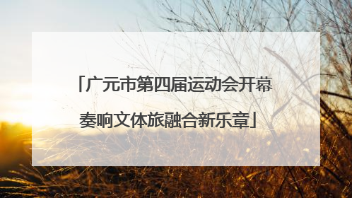 广元市第四届运动会开幕 奏响文体旅融合新乐章