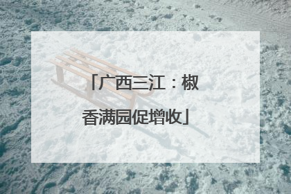 广西三江：椒香满园促增收