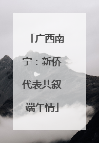 广西南宁：新侨代表共叙端午情