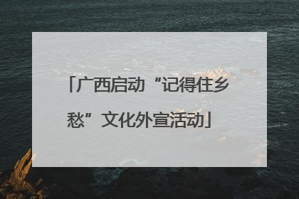 广西启动“记得住乡愁”文化外宣活动