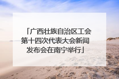 广西壮族自治区工会第十四次代表大会新闻发布会在南宁举行