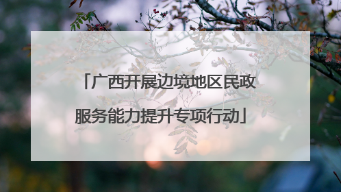 广西开展边境地区民政服务能力提升专项行动