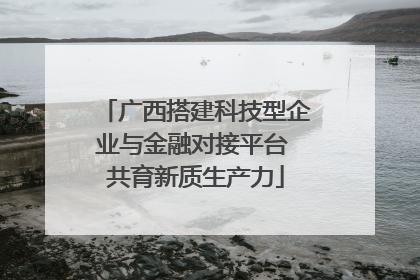广西搭建科技型企业与金融对接平台 共育新质生产力