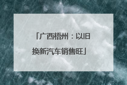 广西梧州：以旧换新汽车销售旺