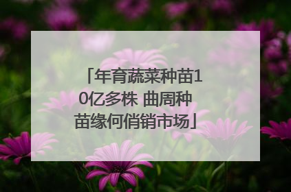 年育蔬菜种苗10亿多株 曲周种苗缘何俏销市场